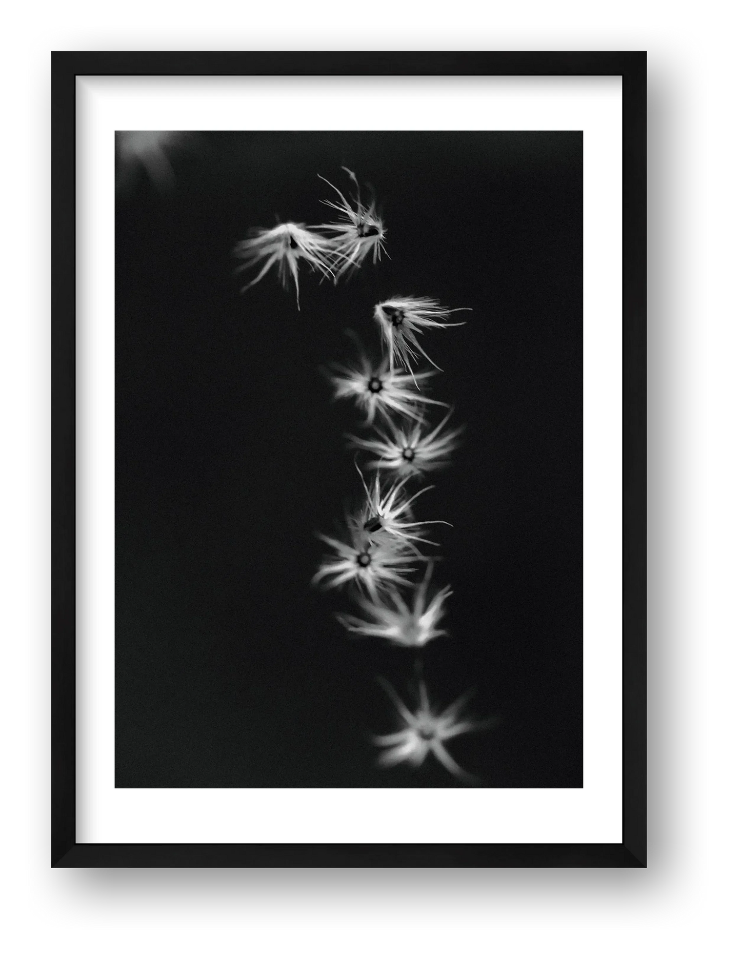 485 — framed