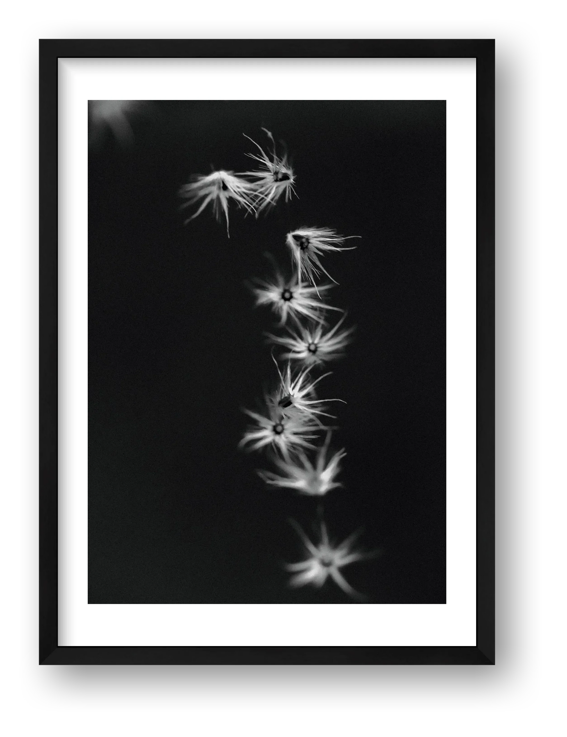 485 — framed