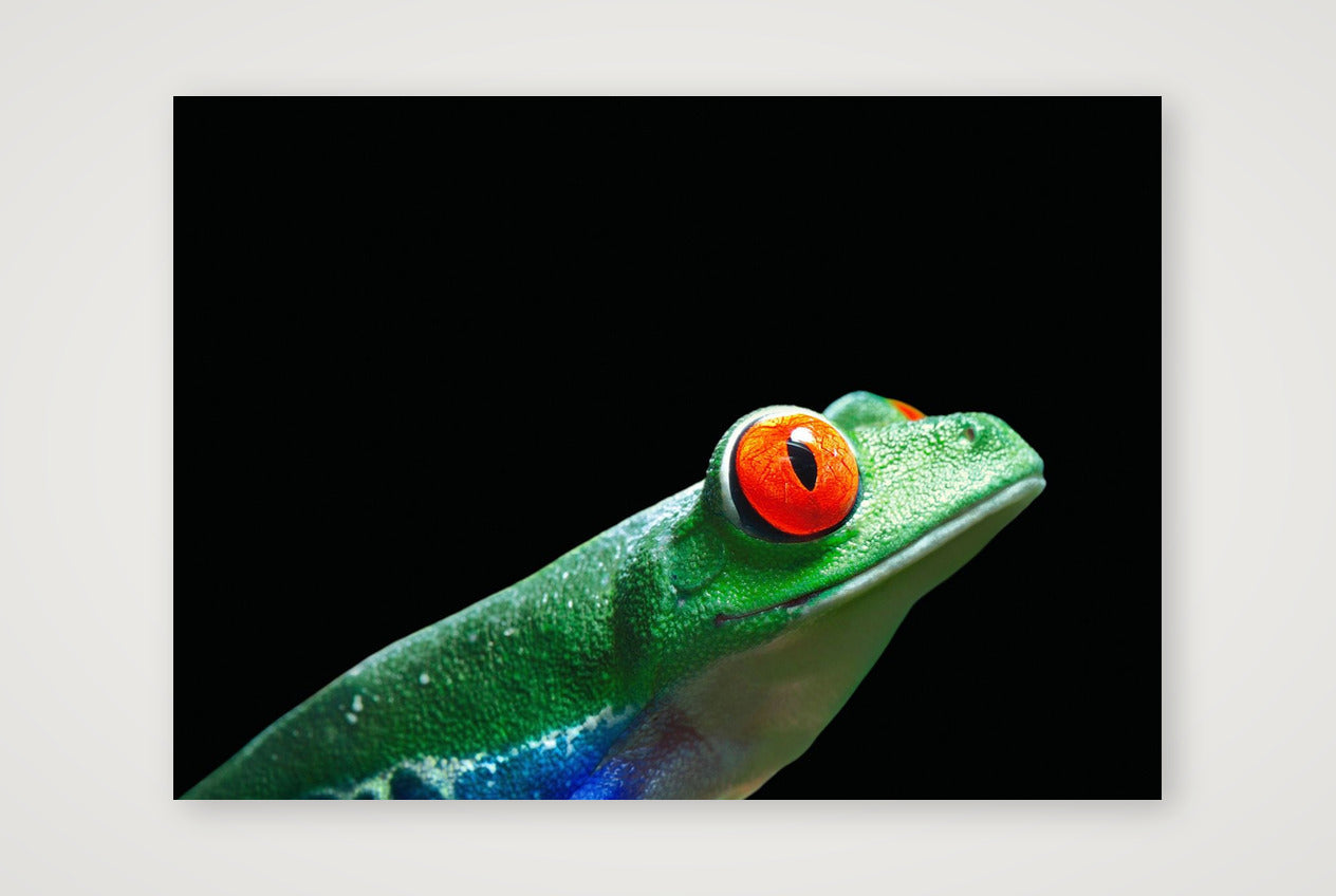 44 — 59×42cm, 23×17" Print only