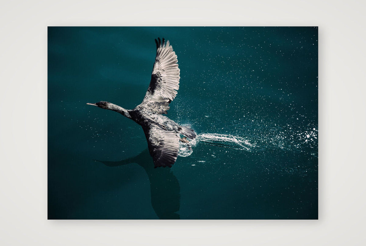 1284 — 59×42cm, 23×17" Print only