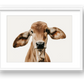 1317 — framed