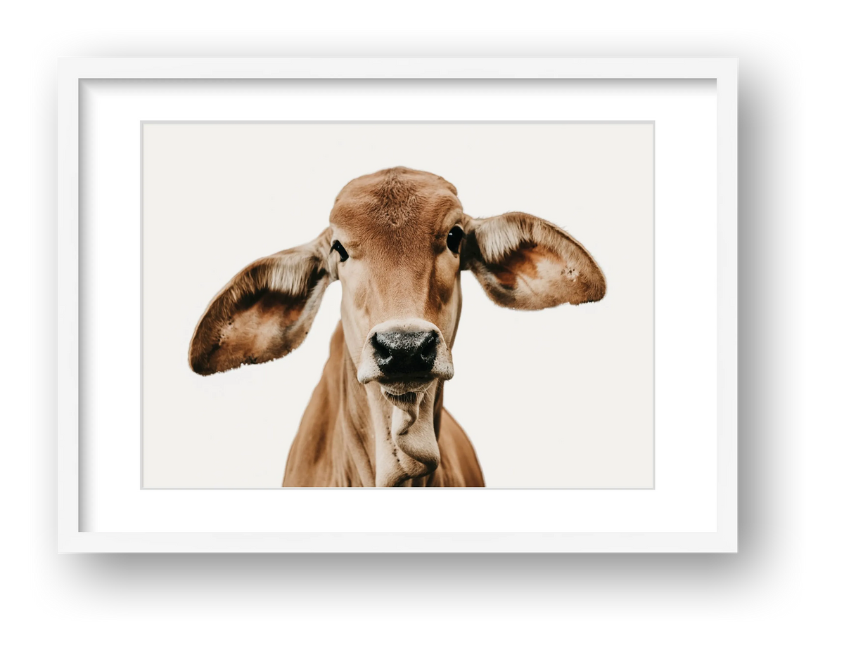 1317 — framed