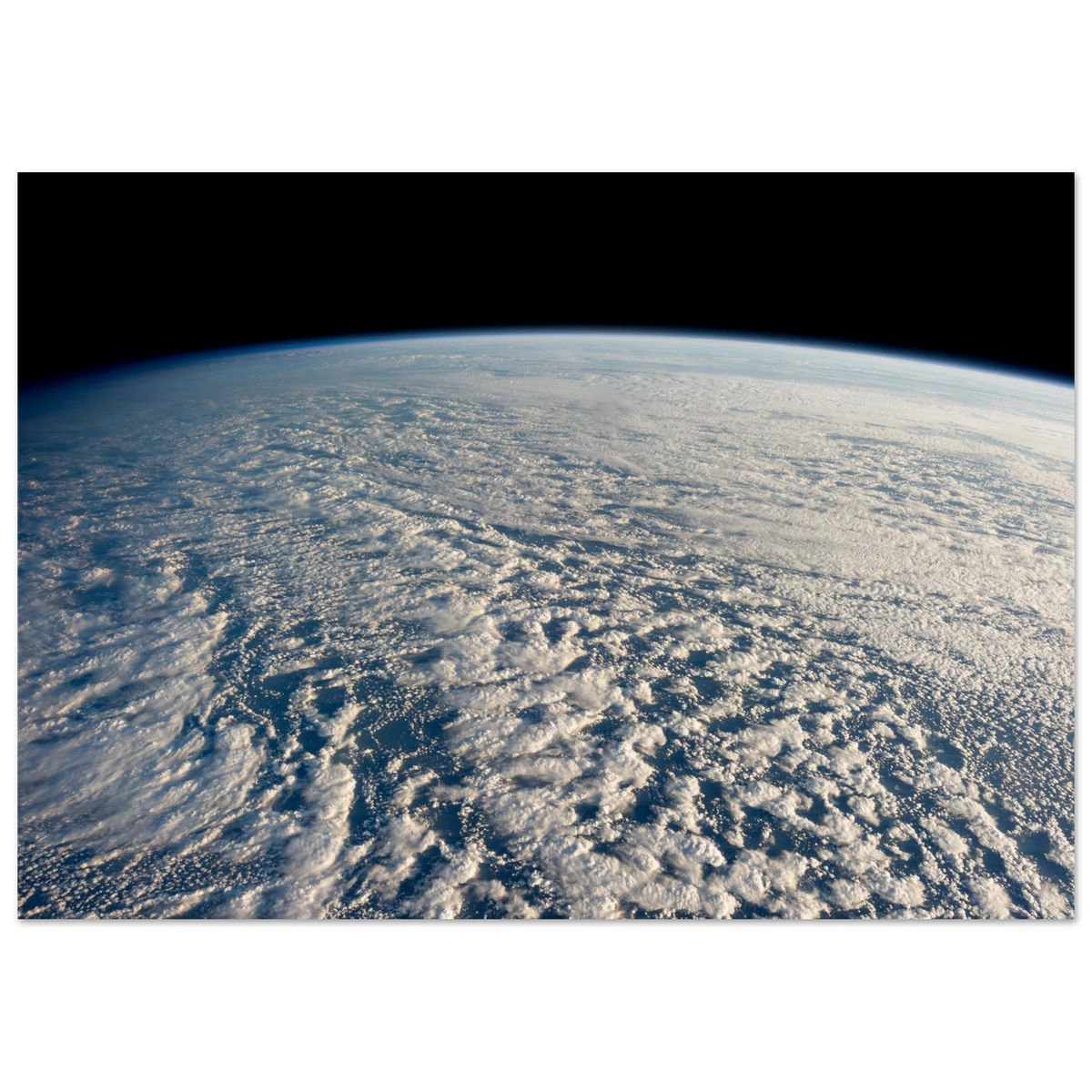 997a0d95-a558-4ac4-919d-d5c693211f20