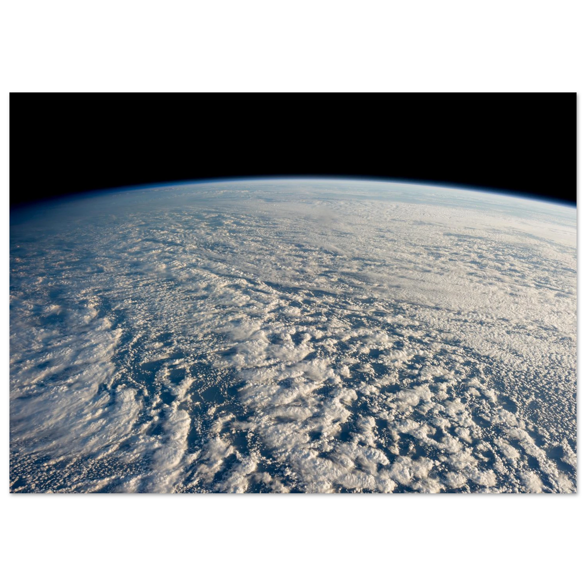997a0d95-a558-4ac4-919d-d5c693211f20