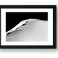 30 — framed