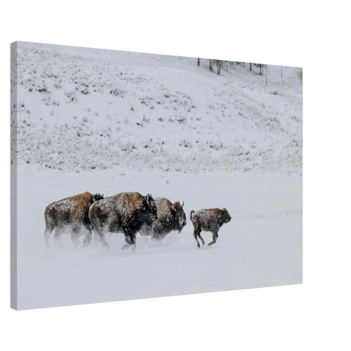 9a230faf-f966-434e-acd0-5b398eabaae6