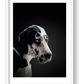 489 — framed