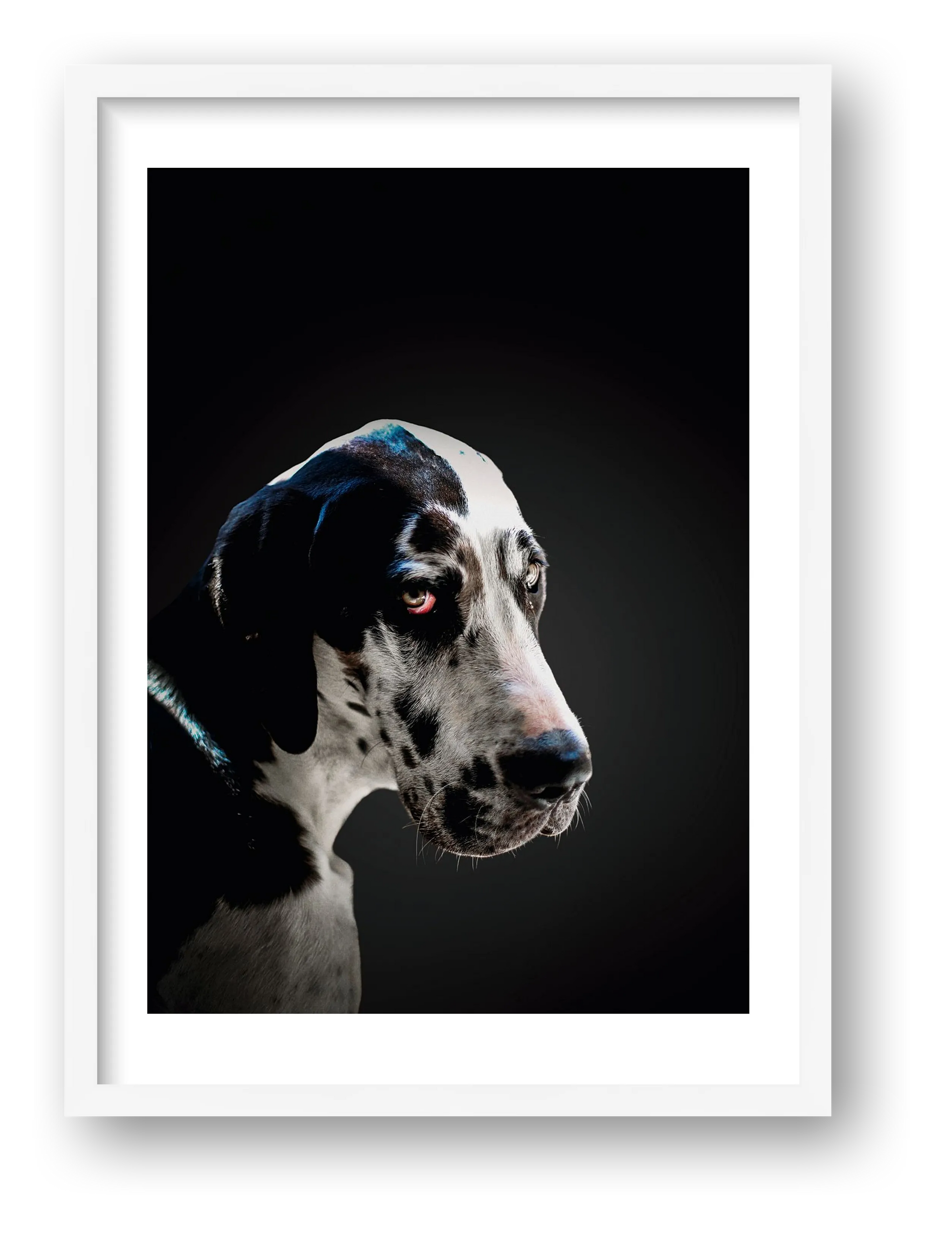 489 — framed