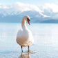 487