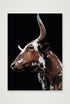 1592 — A4 (21×30cm, 8×12") Print only