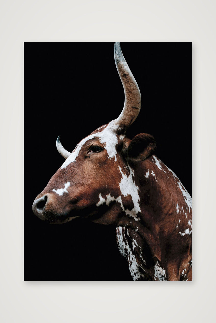 1592 — A4 (21×30cm, 8×12") Print only