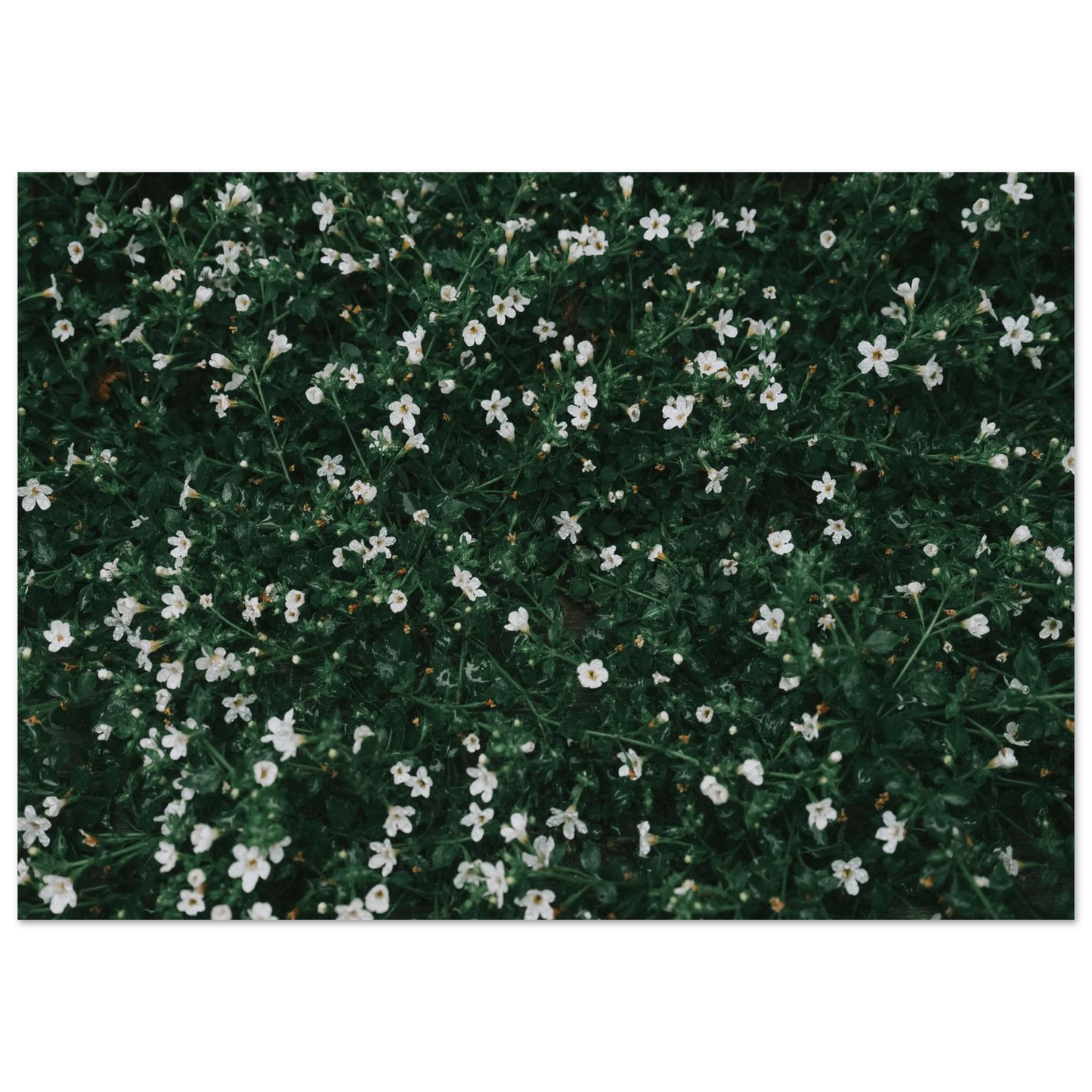 9d2533a0-876a-4867-b7ff-20164f2dea0b