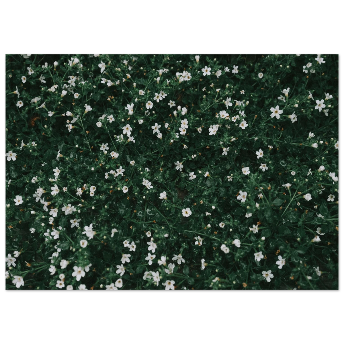 9d2533a0-876a-4867-b7ff-20164f2dea0b