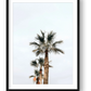 2 — framed