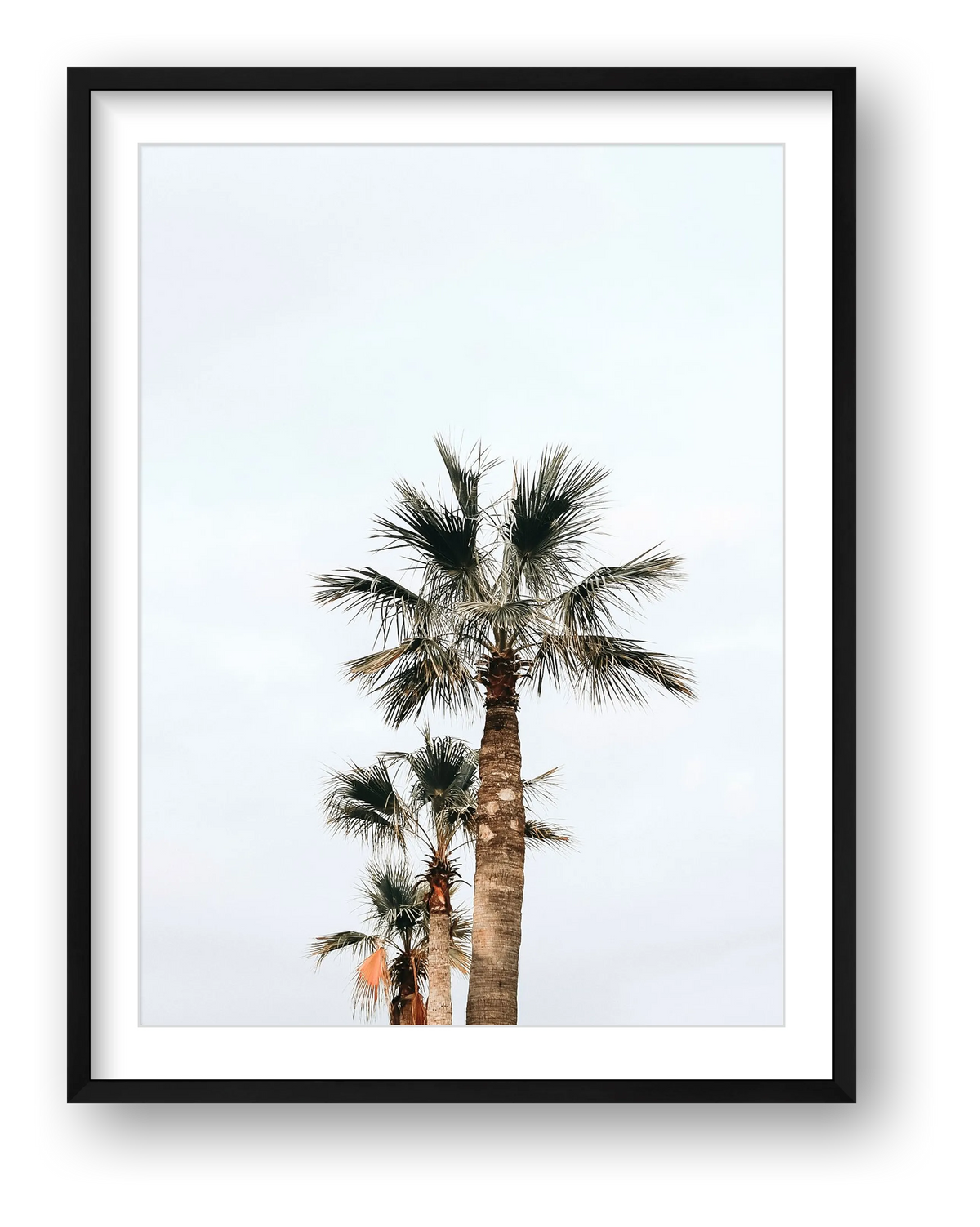 2 — framed