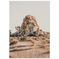 9ee387f0-f7be-4a43-b4b2-ada4eeba8d4f