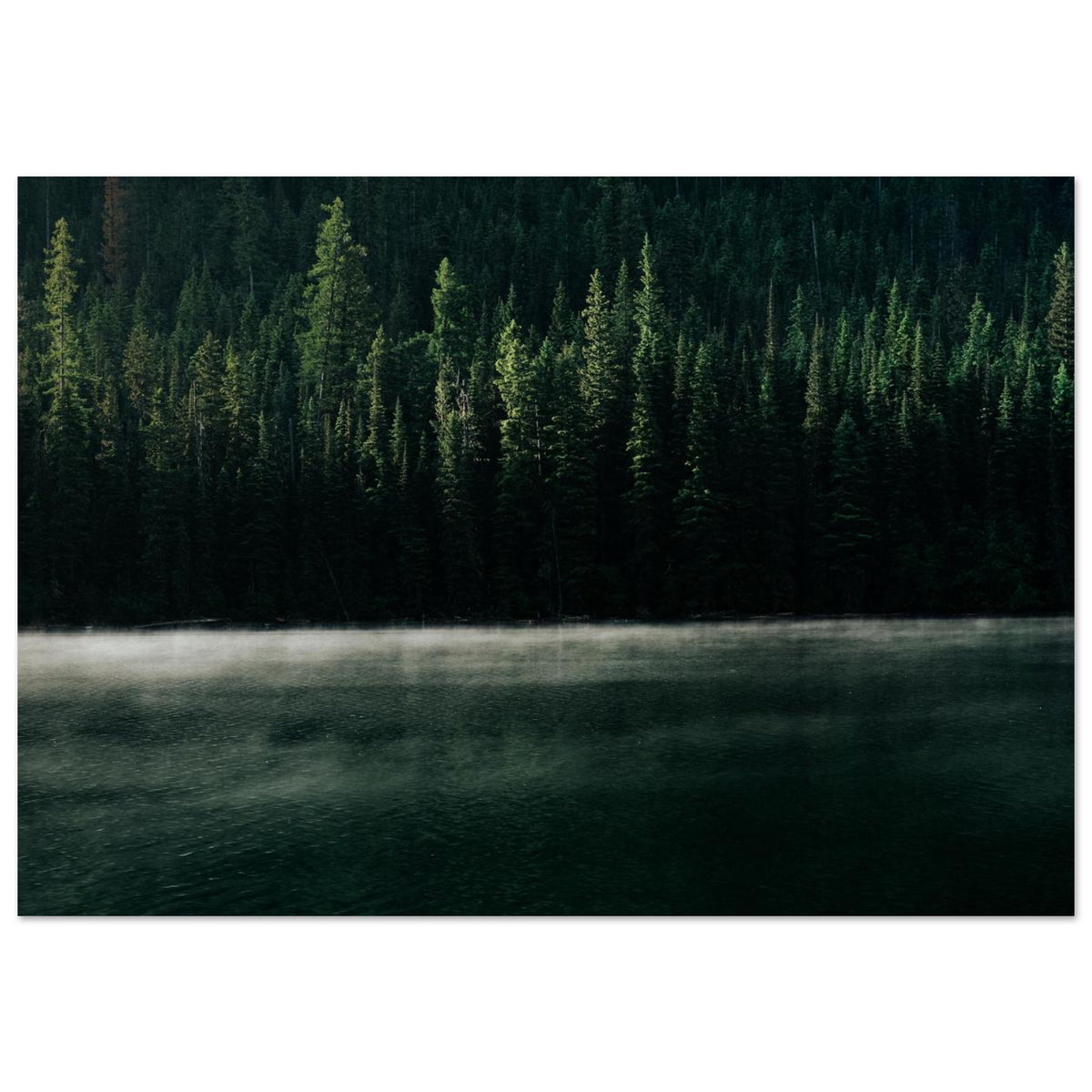 Mystic Forest Lake FOAM Board Print - Serene Nature Art for Modern Spaces PD_310