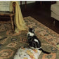Retro Living Room Carpet French Luxury Bedroom Plush Rugs Fashion Home Large Area Sofa Coffee Table Floor Mats Ковер Tapete 러그