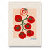 Card with illustration of tomatoes on a beige background