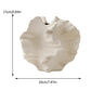Beige ceramic shell-shaped vase with dimensions indicated on a white background