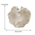 Beige ceramic shell-shaped vase with dimensions indicated on a white background