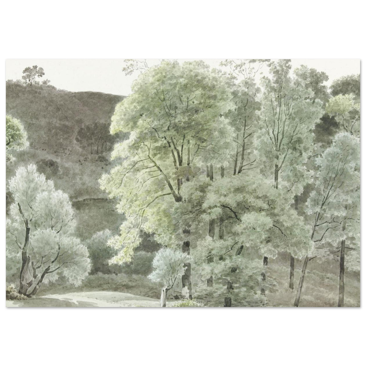 Woodland Escape Wall Art Foam Board Print For Forest Nature Decor Fine Art For Modern Home Interiors