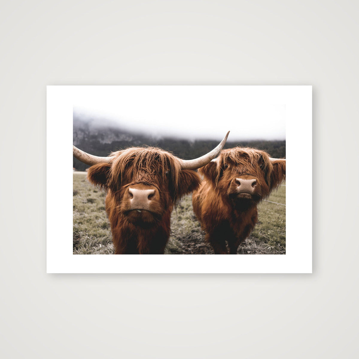 20 — A4 (30×21cm, 12×8") Print only