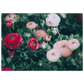 a1a2c8bc-d92f-45e1-8189-c9b8a1876cbb