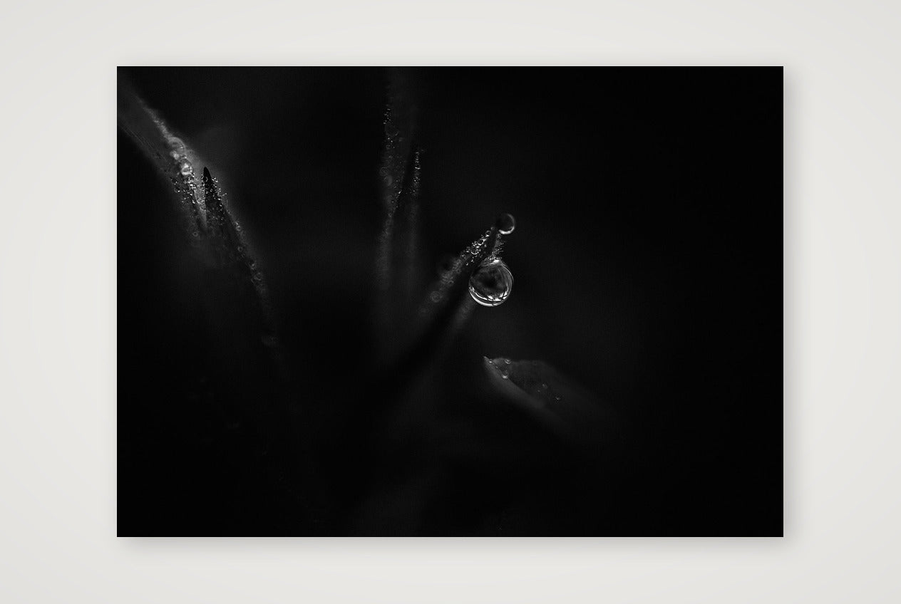 1867 — A3 (42×30cm, 17×12") Print only