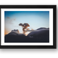 495 — framed