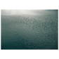 a55c761c-5dba-4d24-8bb2-6652eb801bcd