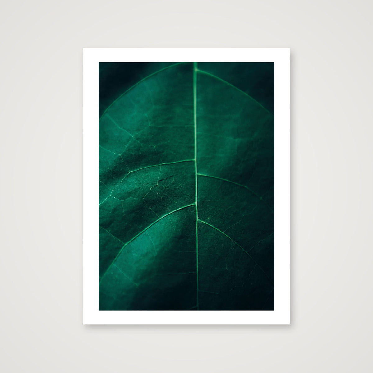 11 — 60×80cm, 24×31" Print only