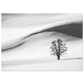 a77eb4a0-92f9-403d-b545-fbd8df3b07ef