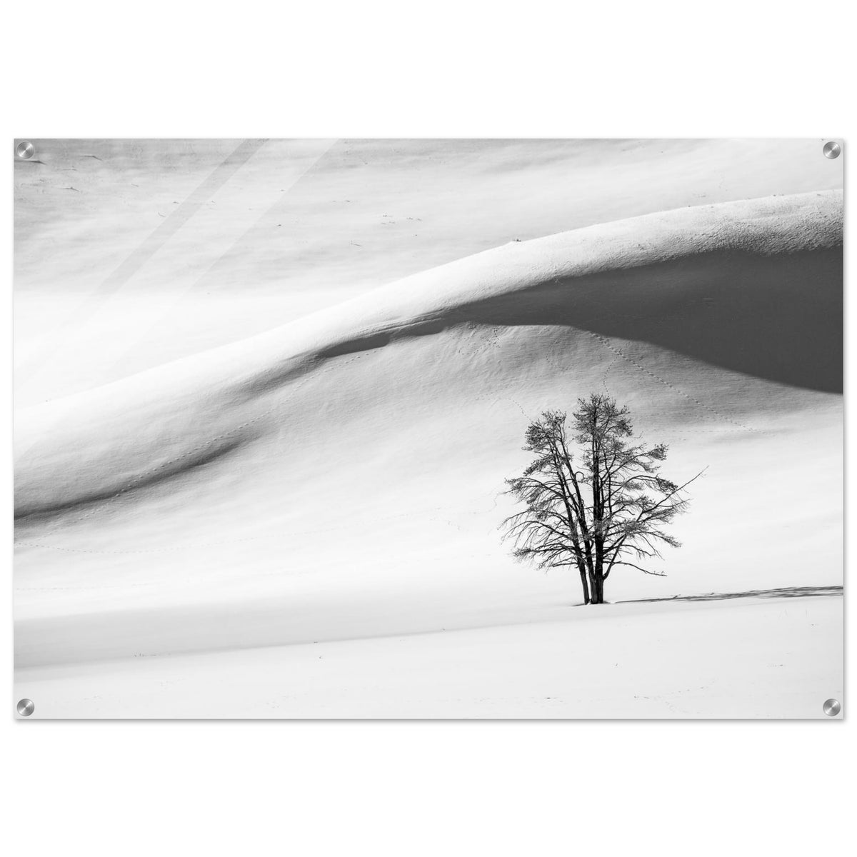 Winter Solitude Wall Art Acrylic Print For Black White Winter Decor Fine Art For Modern Home Interiors