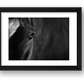 1877 — framed