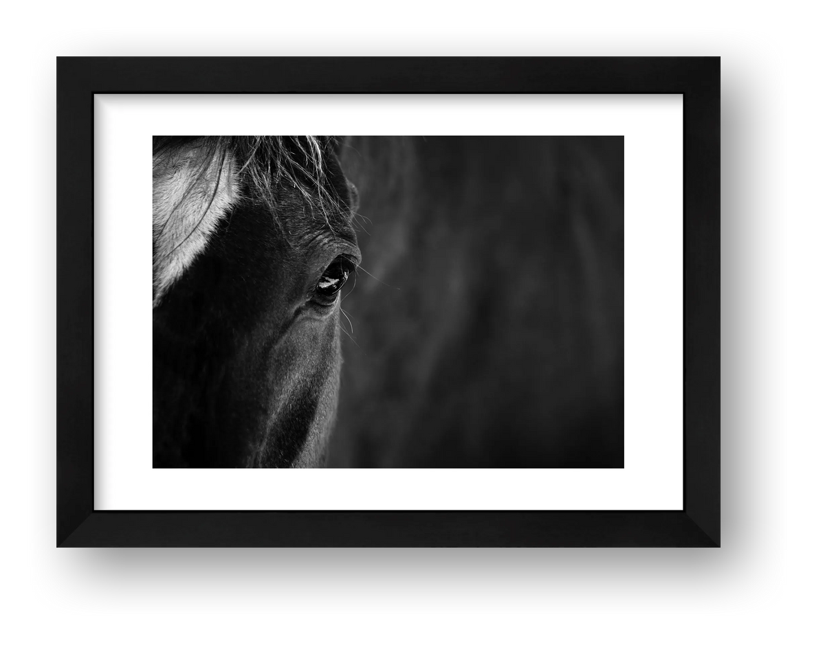 1877 — framed