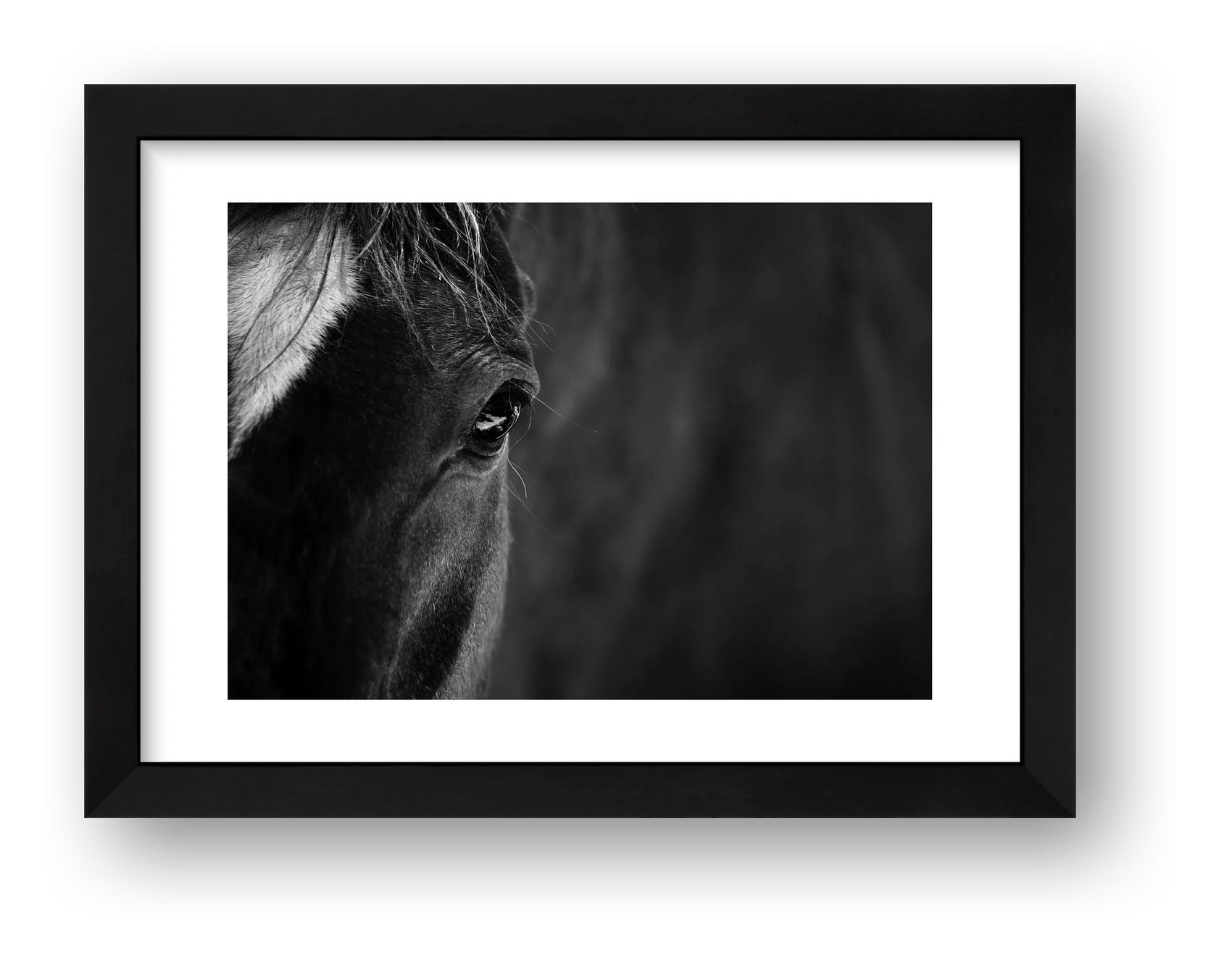 1877 — framed