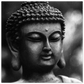 a91ae715-8401-461a-977a-72ee3170c418