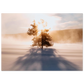 a9d7c527-f6ce-402e-9109-bca875b6bed6