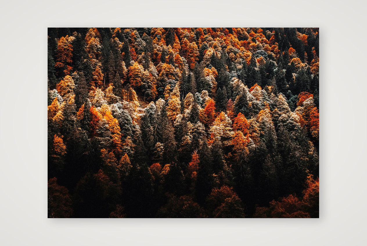 15 — 84×59cm, 33×23" Print only
