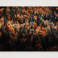 15 — 84×59cm, 33×23" Print only