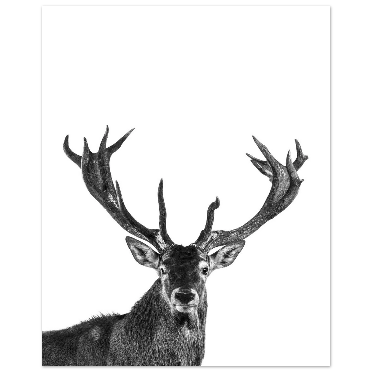 abf80b9d-fd91-44b5-8ced-63b3bd3a5c1c