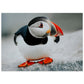 ad3df8c8-06ab-4411-bb46-32ad18245ff3