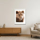 1811 — 42×59cm, 17×23" White Frame