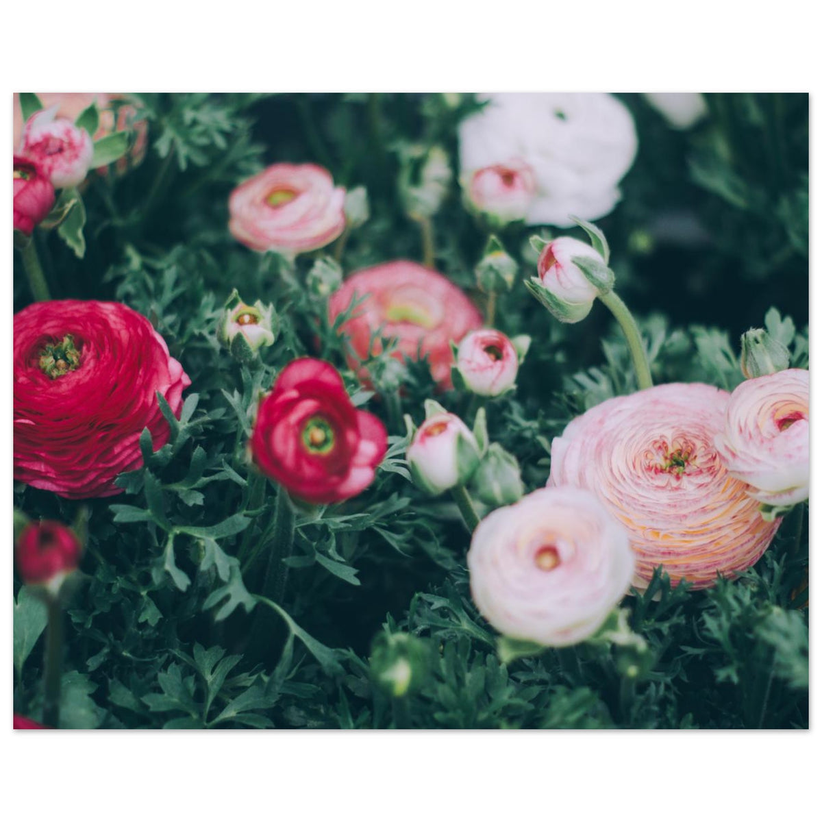 ae73185c-0604-4e96-a11d-50f8fbf89b1c