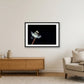 24 — 84×59cm, 33×23" Black Frame