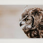 486 — 84×59cm, 33×23" Print only