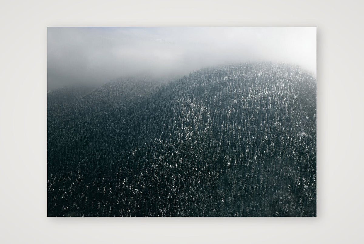 13 — A3 (42×30cm, 17×12") Print only