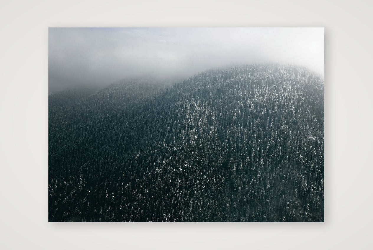13 — A3 (42×30cm, 17×12") Print only