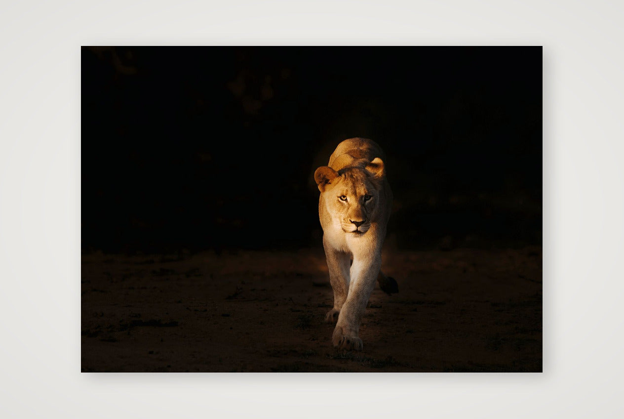416 — A3 (42×30cm, 17×12") Print only